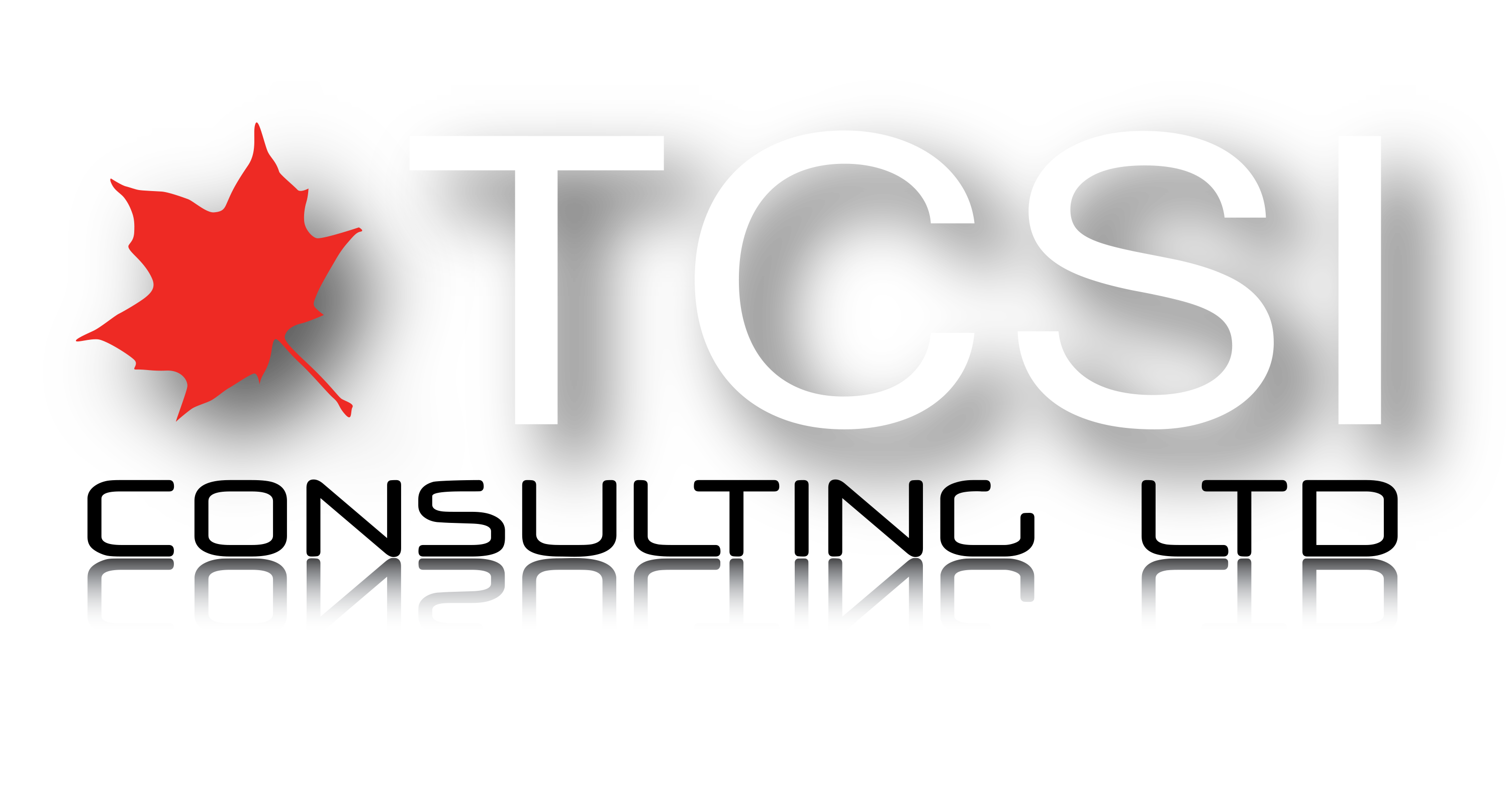 TCSI LOGO